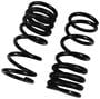 Precision Coil Spring Set