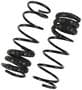 Precision Coil Spring Set
