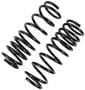 Precision Coil Spring Set