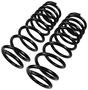 Precision Coil Spring Set