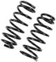 Precision Coil Spring Set