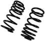 Precision Coil Spring Set