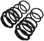 Precision Coil Spring Set