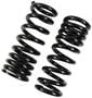 Precision Coil Spring Set
