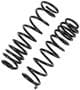 Precision Coil Spring Set