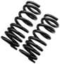 Precision Coil Spring Set