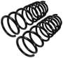 Precision Coil Spring Set