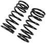 Precision Coil Spring Set