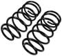 Precision Coil Spring Set