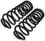 Precision Coil Spring Set