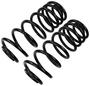 Precision Coil Spring Set