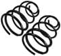 Precision Coil Spring Set