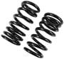 Precision Coil Spring Set