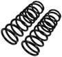 Precision Coil Spring Set