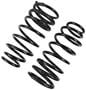 Precision Coil Spring Set