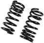 Precision Coil Spring Set