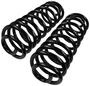 Precision Coil Spring Set