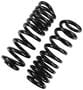 Precision Coil Spring Set