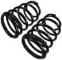 Precision Coil Spring Set