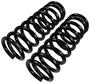Precision Coil Spring Set