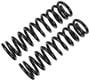 Precision Coil Spring Set