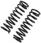 Precision Coil Spring Set