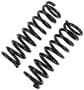 Precision Coil Spring Set