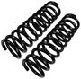 Precision Coil Spring Set