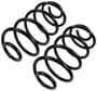 Precision Coil Spring Set