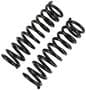 Precision Coil Spring Set