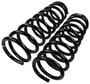 Precision Coil Spring Set