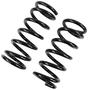 Precision Coil Spring Set