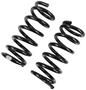 Precision Coil Spring Set