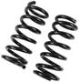Precision Coil Spring Set