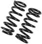 Precision Coil Spring Set