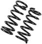 Precision Coil Spring Set