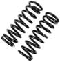 Precision Coil Spring Set