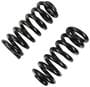 Precision Coil Spring Set