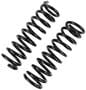 Precision Coil Spring Set