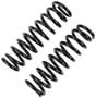 Precision Coil Spring Set