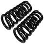 Precision Coil Spring Set