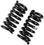 Precision Coil Spring Set
