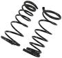 Precision Coil Spring Set