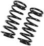 Precision Coil Spring Set