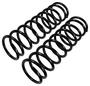 Precision Coil Spring Set
