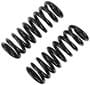 Precision Coil Spring Set