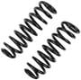 Precision Coil Spring Set
