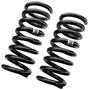 Precision Coil Spring Set