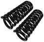 Precision Coil Spring Set