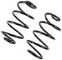 Precision Coil Spring Set